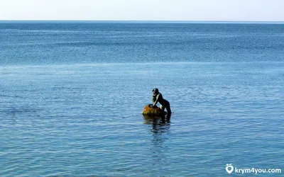 Картинка с русалкой в воде, скачать аватар русалки в синем море — Картинки  и аватары