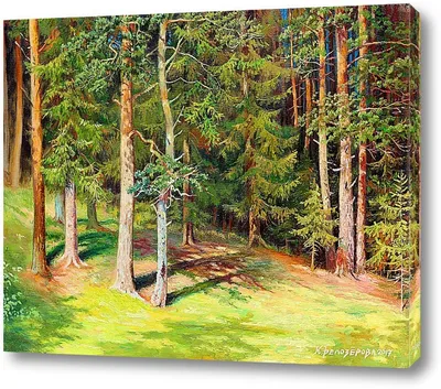 Русский лес | Урман Тайга | Дзен