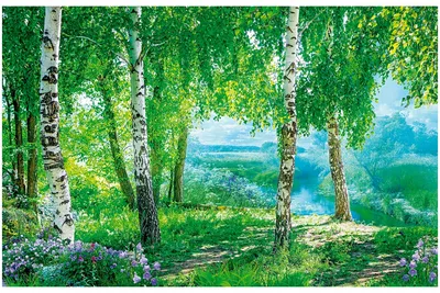 Фотография Русский лес - «Пейзажи родины моей!» (№406019-22.08.2023 - 10:19)