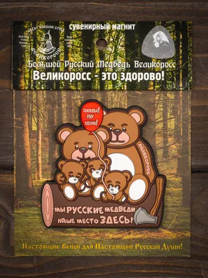 Футболка Русский медведь оптом и в розницу в магазине Мир Маек