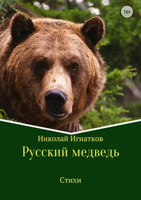 Купить нашивку русский медведь в шапке ушанке со звездой