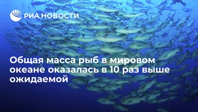 Самые опасные рыбы океана в 2023 г | Рыба, Животные, Океан