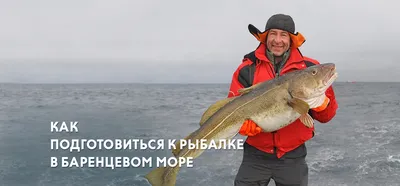 Рыбалка в Ярославле и Ярославской области | Где лучше ловить рыбу: список  мест - 10 августа 2019 - 76.ru