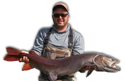 В Литве пойман лосось рекордных размеров - Delfi grynas