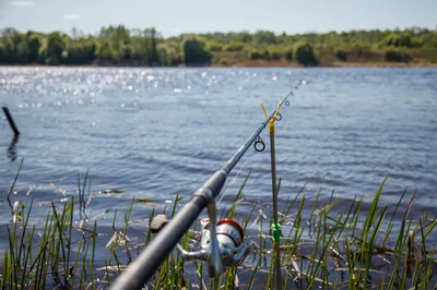 Рыбалка на реке без удочки: альтернативные способы ловли | Баркас | Охота и  Рыбалка | Дзен