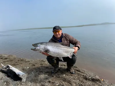 Рыбалка на реке Псел