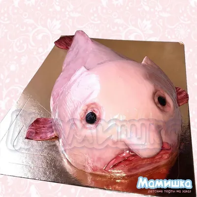 Рыба-капля (Blobfish) - Govzalla.com