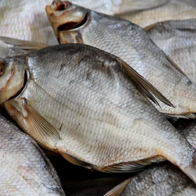 Лещ вяленый купить по выгодным ценам в Киеве, заказать Рыба вяленая и  сушеная онлайн в интернет магазине морепродуктов ribka.ua