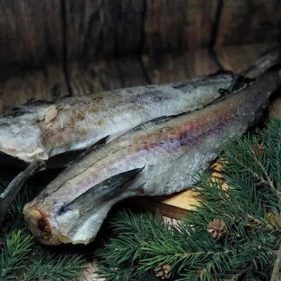 Треска потрошеная без головы - Морепродукты и рыба – купить с доставкой в  СПб