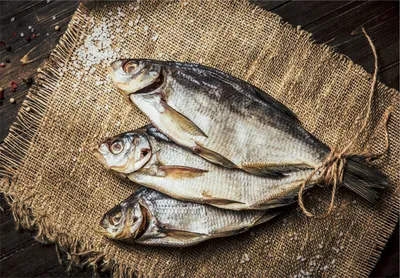 Рыбец (сырть) – описание рыбы, внешний вид, ловля, рецепты - Rybak24