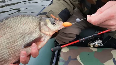 Рыбалка на малых водоемах