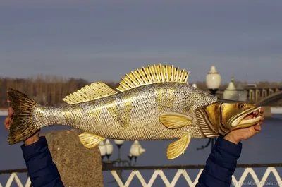 Большая толстая рыба судак» — создано в Шедевруме