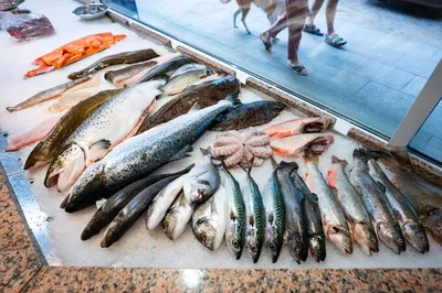 Потребители для рыбы или рыба для потребителя: как заинтересовать молодое  поколение