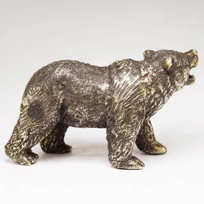 рычащий медведь на фоне вулканов - Поиск в Google | Бурый медведь, Медведь,  Выдра