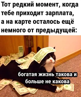 Комедии, чтобы поржать до слез смотреть онлайн подборку. Список лучшего  контента в HD качестве