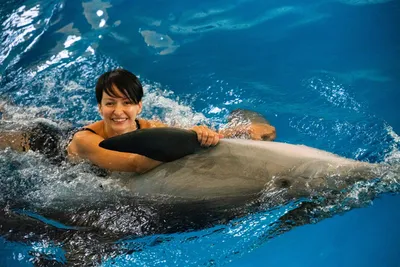 Фото с дельфинами - Дельфинарий Набережные Челны