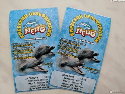 https://www.instagram.com/dolphinarium_nemo_tashkent/