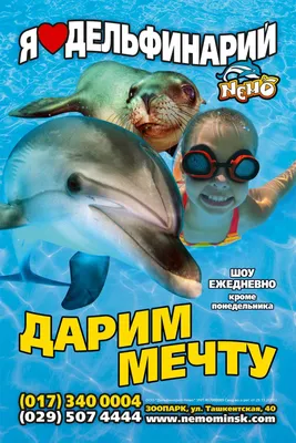Дельфинарий \"Немо\", Одесса - «Самые положительные впечатления для детей и  взрослых» | отзывы