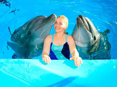 Фото с дельфинами в воде фото