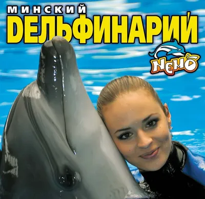 Шоу дельфинов в Дельфинарии «Немо» — Афиша Ташкента
