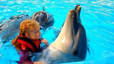 Харьковский дельфинарий Нэмо. Дайвинг с дельфинами на день рождения -  YouTube