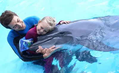Читатель: «Детям не разрешили потрогать дельфина во время фотосъемки»
