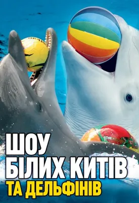 Dolphinarium Nemo Одессы держит необычно чудесную выставку с дельфинами  Редакционное Фото - изображение насчитывающей взволнованности, заплыв:  109427441