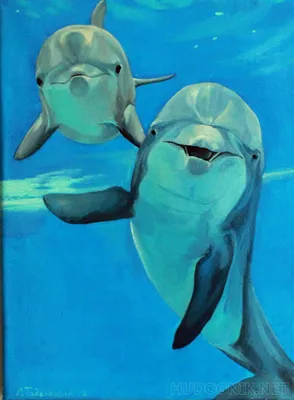 Супер цена на дайвинг с дельфинами! 🐬 До 30 апреля включительно стоимость  погружения всего 6000₽, второй билет 4000₽ 💰 Погружаются дети о… |  Instagram
