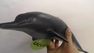 Фигурка дельфин Schleich цена | pigu.lt