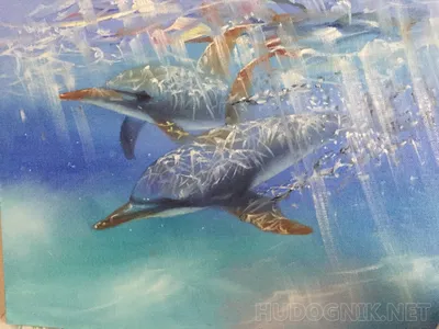 Деревянный Пазл DaVici Дельфины Два океана 222 детали - цена, фото,  характеристики