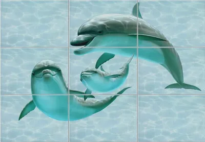 Фотоэкран Метакам 148 дельфины купить в Москве в интернет магазине, цена  3850 руб на Vodopadoff