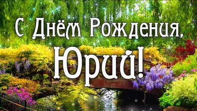 С Днем Рождения, Юра (brikalov)! - Страница 7 - СОМОВИЙ ОМУТ - сом и его  ловля