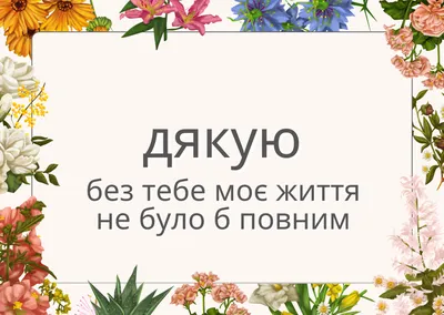 всемирный день «Спасибо» 2024, Нуримановский район — дата и место  проведения, программа мероприятия.