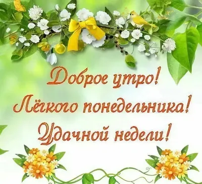 🌺☕️Ух, ты, опять понедельник! Доброе утро понедельника! Удачной недели!  Утренний позитив для друзей! - YouTube