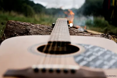 Гитара в лесу (58 фото) »