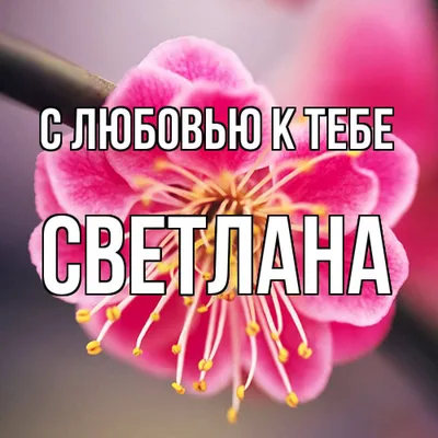 Имя Света, Светлана как писать красиво. - YouTube