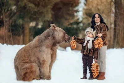 ЖИТЬ - 28-летний бурый медведь Степан хорошо известен в... | Facebook