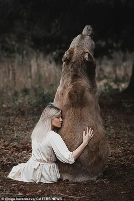 🐻Вот уж, что точно нельзя откладывать на будущее - это фотосессию с медведем  Степаном!!! 🐻Нашему уникальному мишке уже 30 человеческих… | Instagram