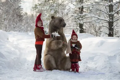650-килограммовый медведь - фотосессия с моделями