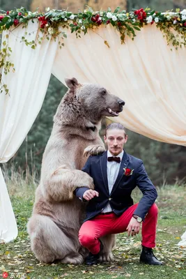 Фотосессия с настоящим медведем Степаном, Томом.
