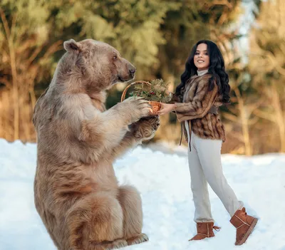 🐻Вот уж, что точно нельзя откладывать на будущее - это фотосессию с медведем  Степаном!!! 🐻Нашему уникальному мишке уже 30 человеческих… | Instagram