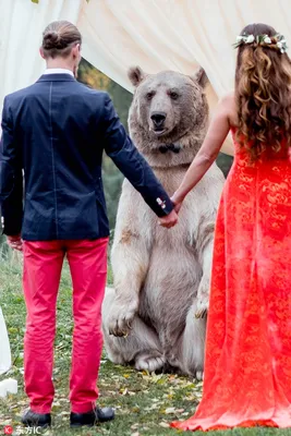 Фотосессия с медведем Степаном! | Нелли Фотограф | Дзен