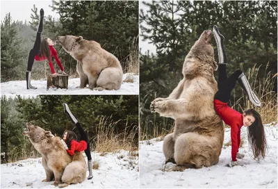 Русские модели, снявшиеся в фотосессии с медведем, взорвали англоязычный  интернет | Модный Блог | Дзен