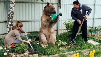 Зимняя фотосессия с медведем Степаном. Детский и семейный фотограф с  животными в Москве Гурьева Надежда