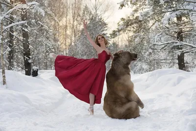 Фотосессия с медведем Степаном! | Нелли Фотограф | Дзен