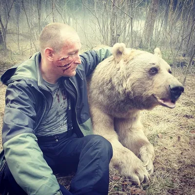 Русским детям ничего не страшно...Даже объятья с медведями... | Ольга  Гордеева | Дзен