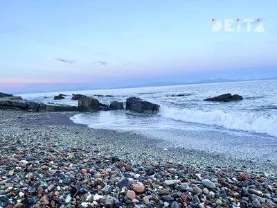 С видом на море и стройку: как выглядит пляж в Светлогорске этим летом -  Новый Калининград.Ru