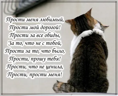 Связка воздушных шаров с сатиновой звездой \"Прости\" и сердцем с надписью  \"Я-дурак\" (ID#707437288), купить на Prom.ua