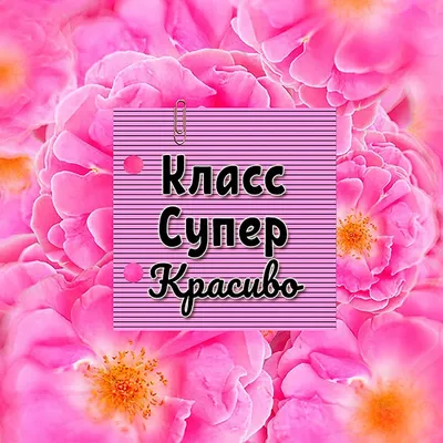 Картинки ты супер (48 фото)