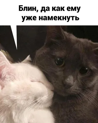 Это любовь